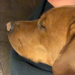 Meet your Posher, Cory